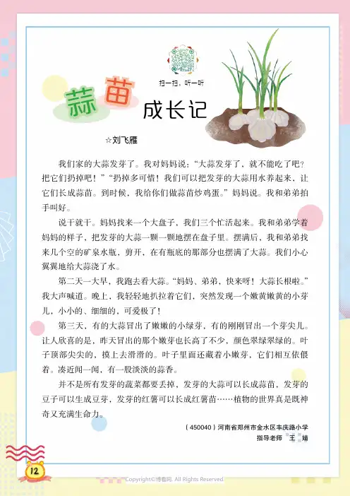 219369128_蒜苗成长记