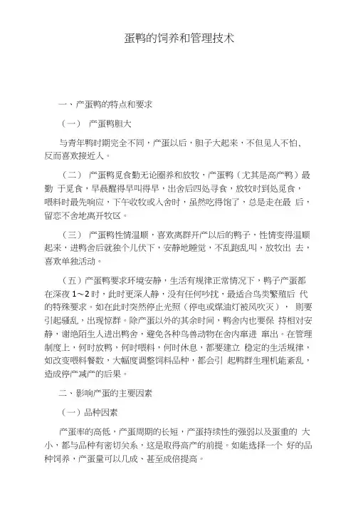 蛋鸭的饲养和管理技术
