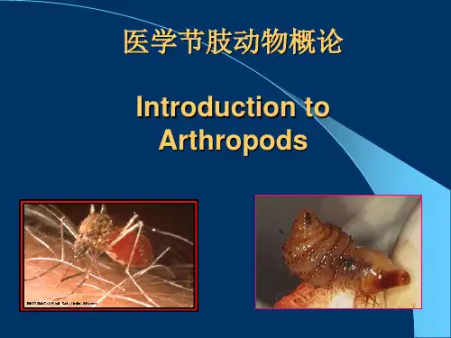 医学节肢动物概论全套教学课件