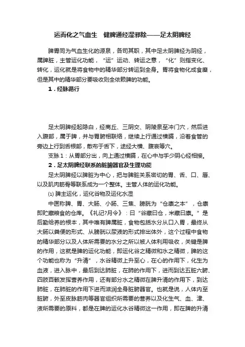运而化之气血生　健脾通经湿邪除——足太阴脾经