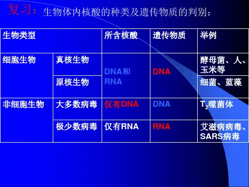 DNA结构和特点