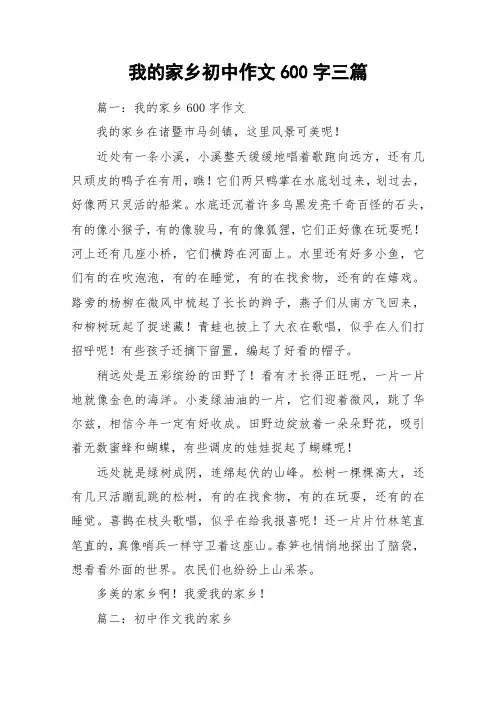 我的家乡初中作文600字三篇_作文