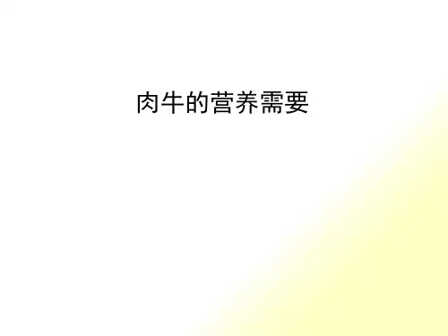 肉牛的营养需要