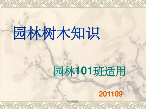 《园林树木分类》PPT课件