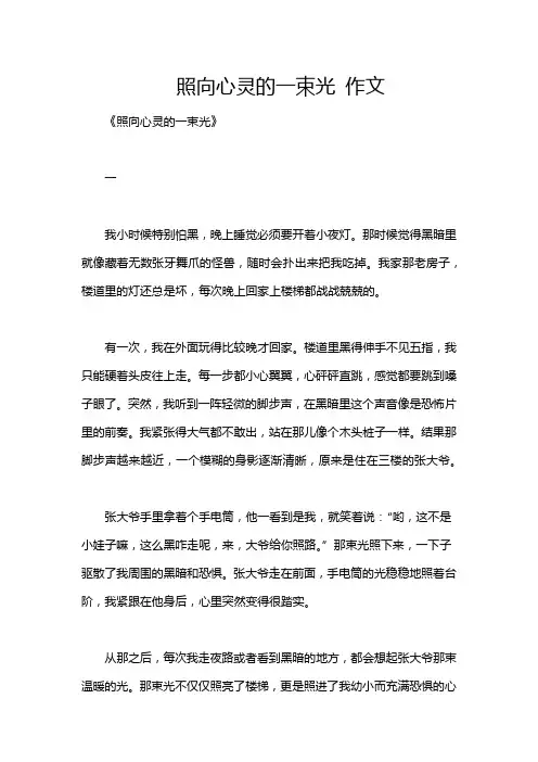 照向心灵的一束光 作文