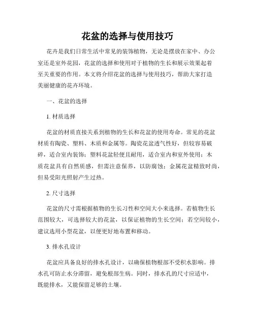 花盆的选择与使用技巧