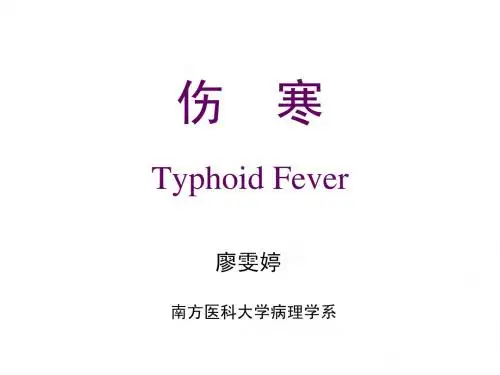 15 传染病2-伤寒、菌痢-护理学