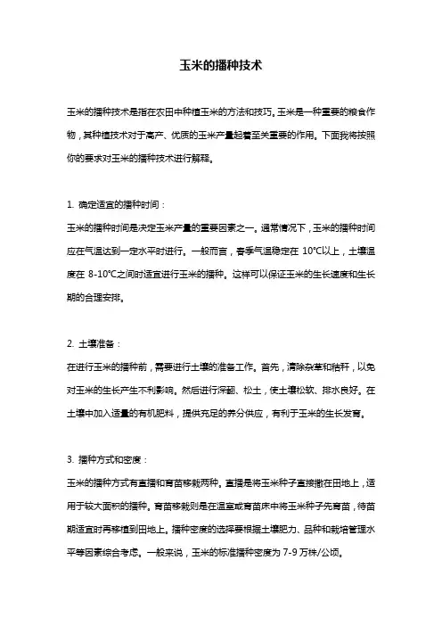 玉米的播种技术