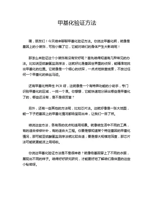 甲基化验证方法