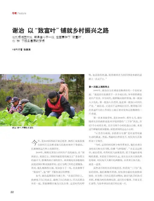 谢治_以“致富叶”铺就乡村振兴之路