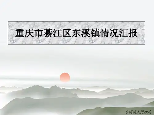 重庆市綦江区东溪镇情况汇报