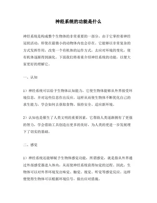 神经系统的功能是什么