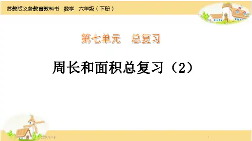 苏教版六年级数学下册第7单元：周长和面积总复习(2)