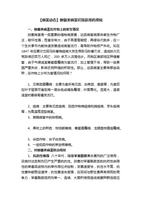 【病害动态】卵菌类病害识别及用药须知