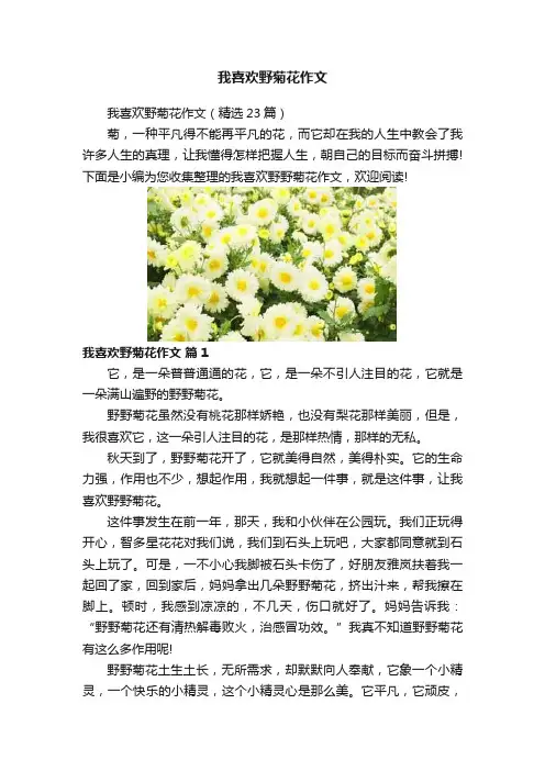 我喜欢野菊花作文