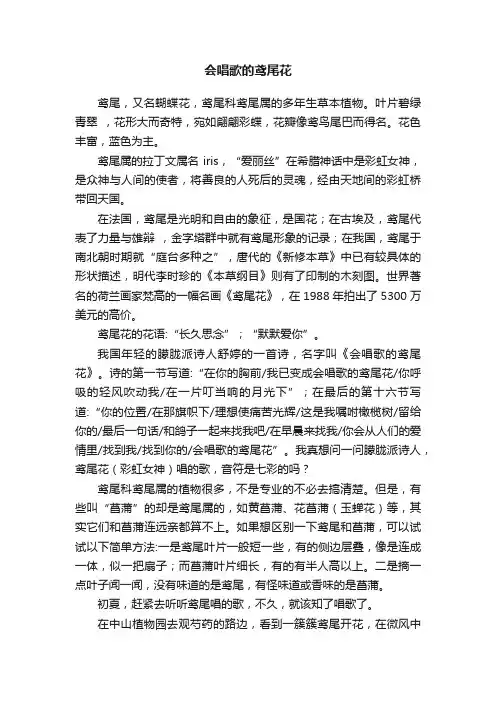 会唱歌的鸢尾花