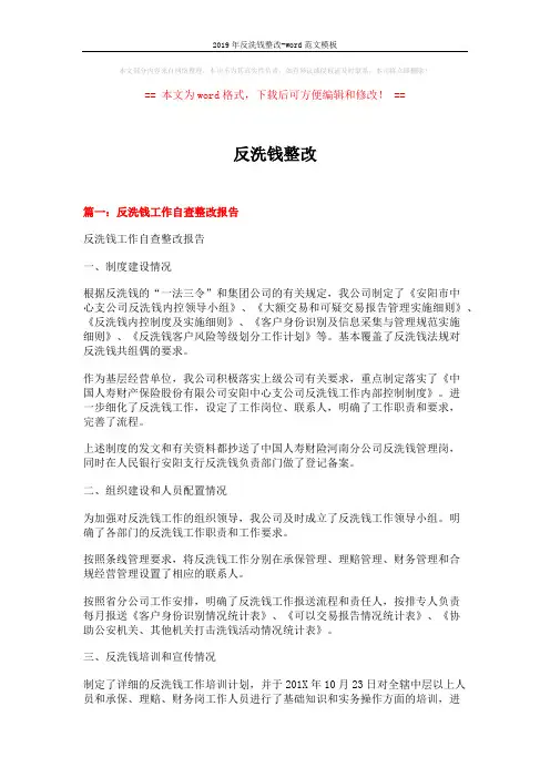 2019年反洗钱整改-word范文模板 (18页)