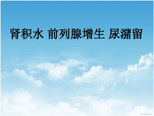 肾积水ppt课件