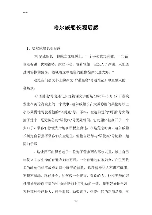 哈尔威船长观后感