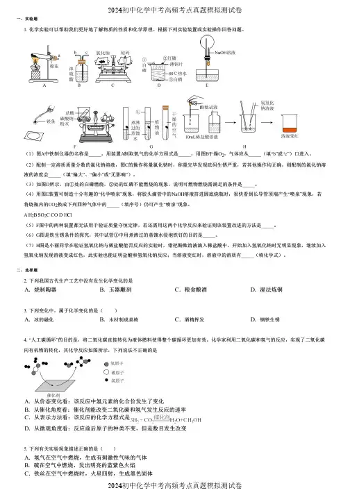 2024初中化学中考高频考点真题模拟测试卷 (3255)