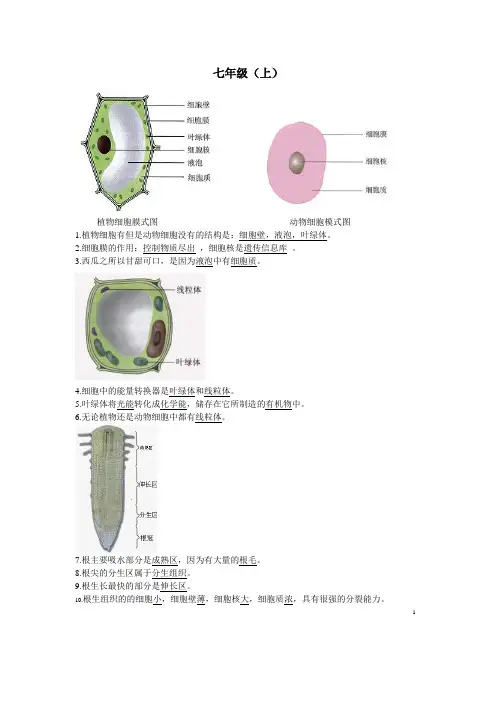 生地会考复习资料：初中生物图集(附题目)(人教版)[1]-339eea6bcaaedd3383c4d327