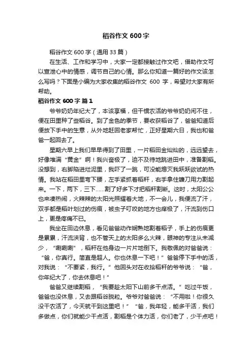 稻谷作文600字（通用33篇）