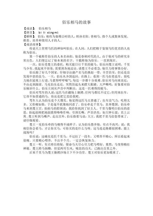 佰乐相马的故事