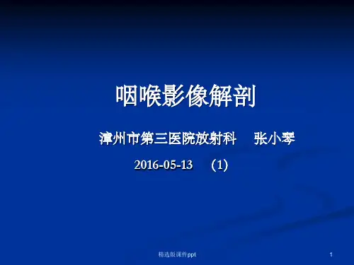 咽喉部影像解剖、咽喉部病变的影像诊断(1)