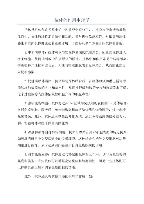 抗体的作用生理学