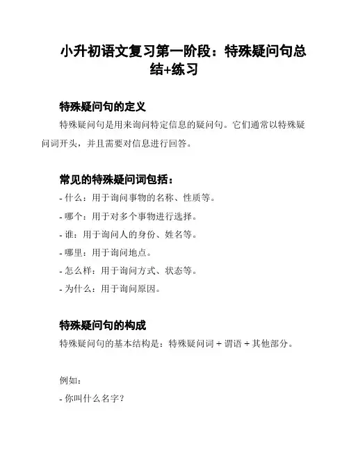 小升初语文复习第一阶段：特殊疑问句总结+练习