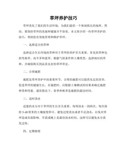 草坪养护技巧