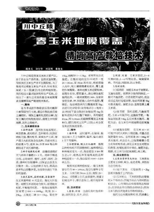 川中丘陵春玉米地膜覆盖精简高产栽培技术