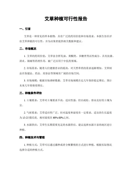 艾草种植可行性报告