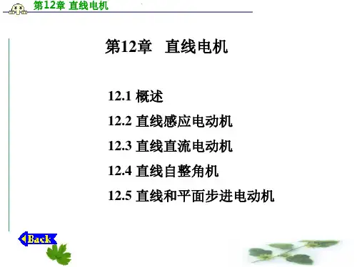 直线电机PPT课件
