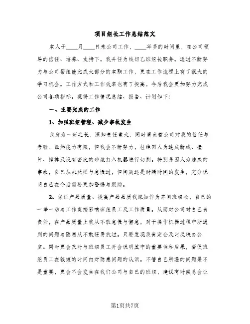 项目组长工作总结范文（2篇）