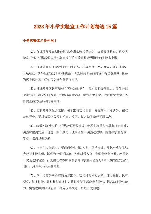 2023年小学实验室工作计划精选15篇