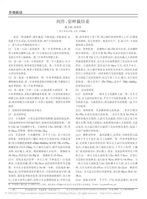 间作_套种栽培姜_戴玉淑