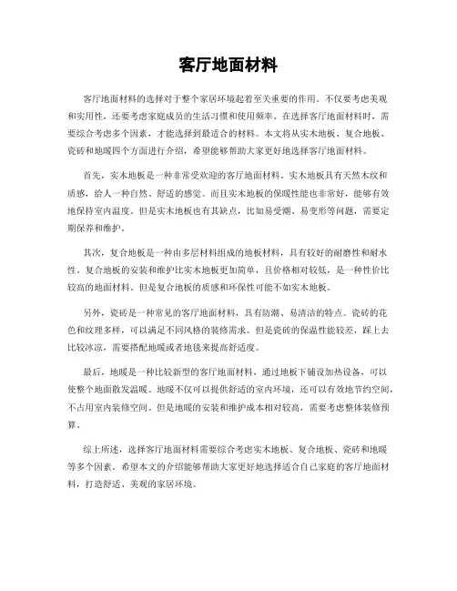 客厅地面材料