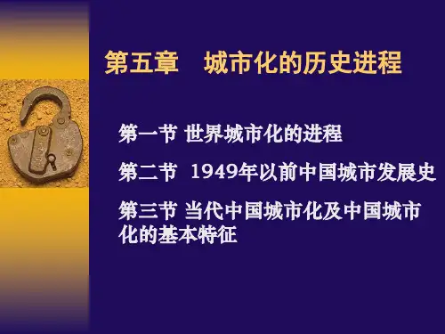 第五章历史进程(上)