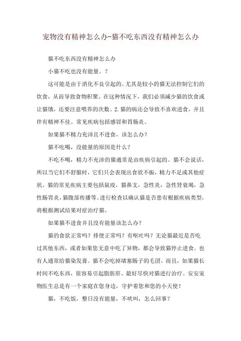 宠物没有精神怎么办-猫不吃东西没有精神怎么办