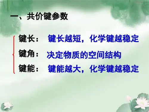 有机化合物的结构特点