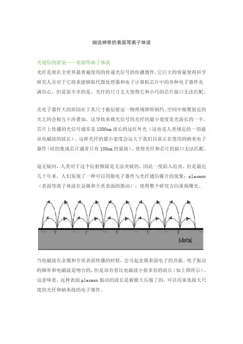 细说神奇的表面等离子体波(Word)