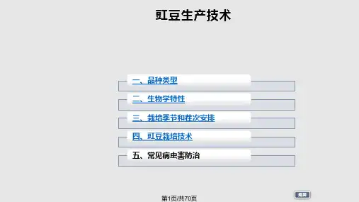 豇豆栽培技术PPT课件