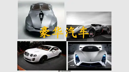 奢饰品 豪车类PPT课件