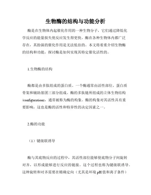 生物酶的结构与功能分析