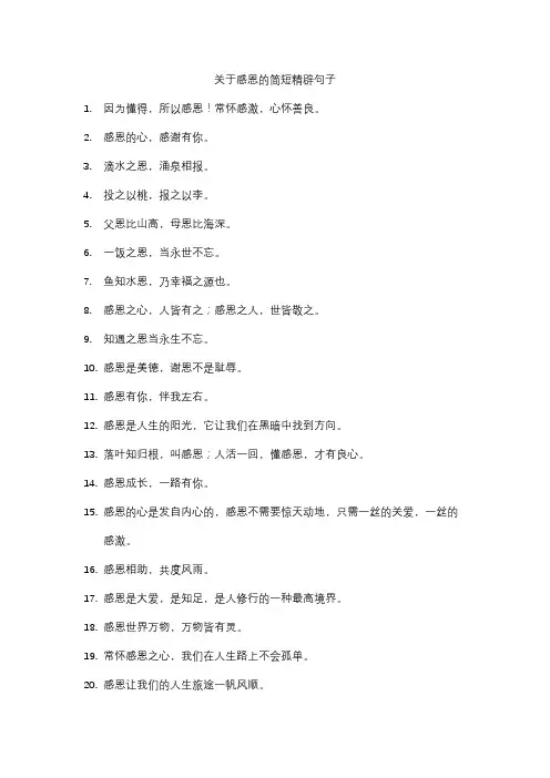 关于感恩的简短精辟句子