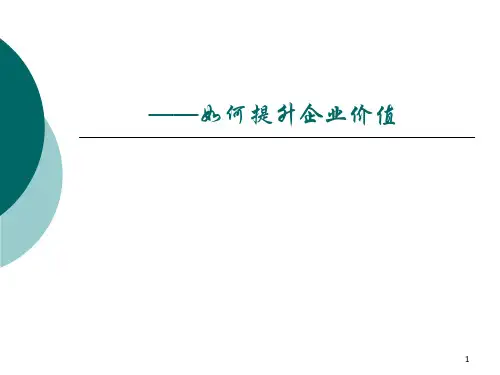 公司财务战略分析(ppt 131页)