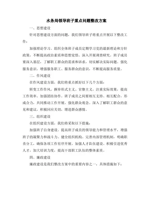 水务局领导班子重点问题整改方案