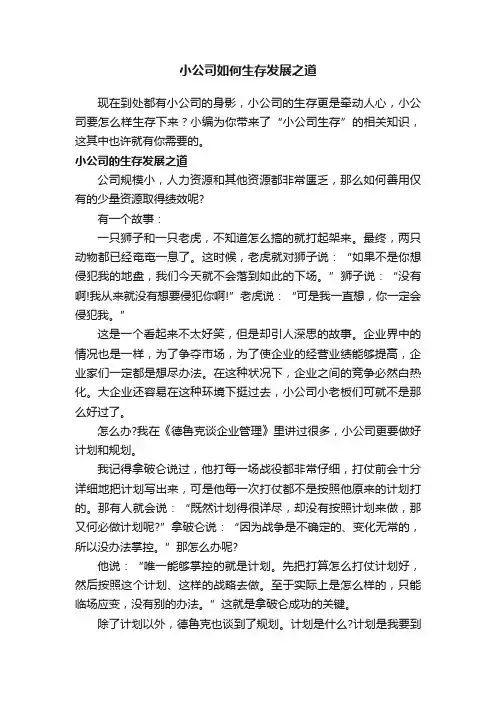 小公司如何生存发展之道