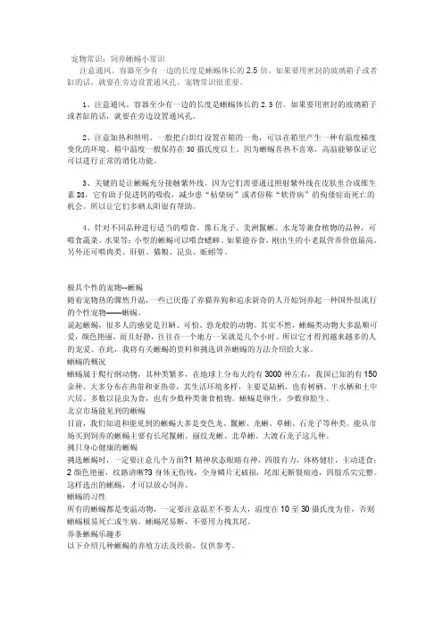 关于蜥蜴——精选推荐